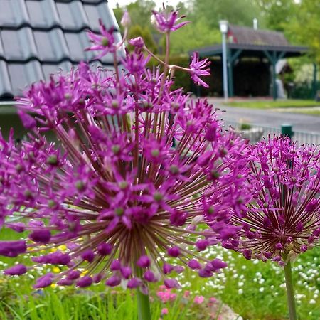 Haus 187 Freilingen Villa Blankenheim  Bagian luar foto
